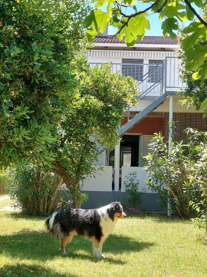 .....Und Der Hund Darf Mit Daire Privlaka  Dış mekan fotoğraf